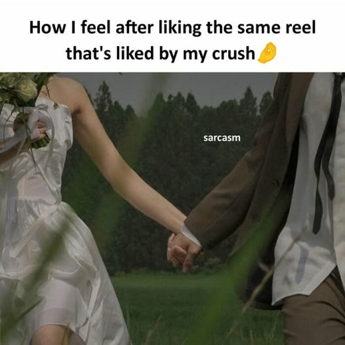 Couple holding hands outdoors with caption about liking the same reel as a crush, highlighting hilarious memes humor.