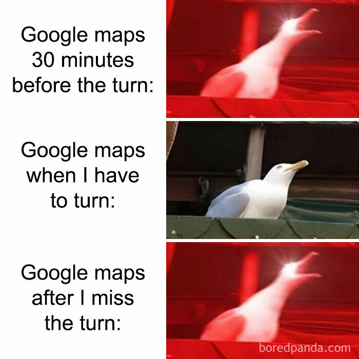 Funny meme showing Google Maps behavior before, during, and after a turn with a seagull expressing sarcasm.