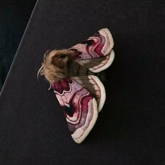 Embroidered fiber moth with intricate pink, purple, and white patterns on a dark background, showcasing detailed textile art.