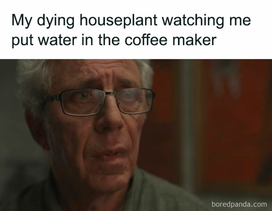 Man with glasses looking confused, illustrating the inconvenience that could trigger a funny meltdown meme.