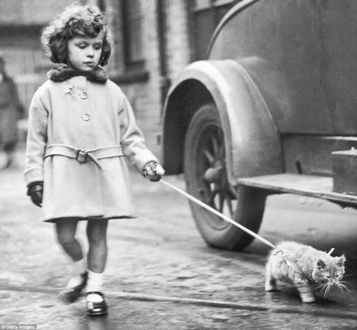 Vintage photo of a young girl walking a cat on a leash, showcasing the timeless bond between kids and cats.
