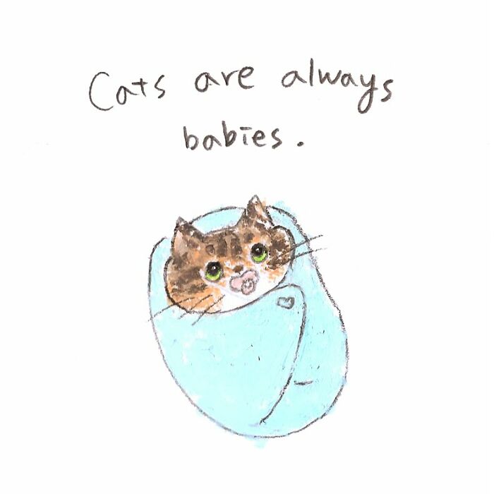 Cute artwork for cat lovers showing a kitten swaddled in a blue blanket with the phrase cats are always babies.