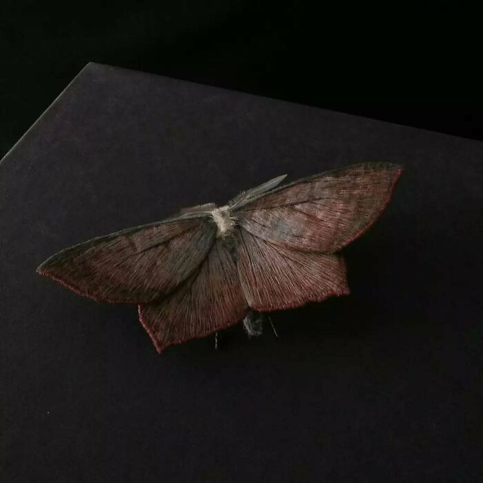 Embroidered fiber moth with detailed wings in shades of brown and subtle red edges displayed on a dark surface.