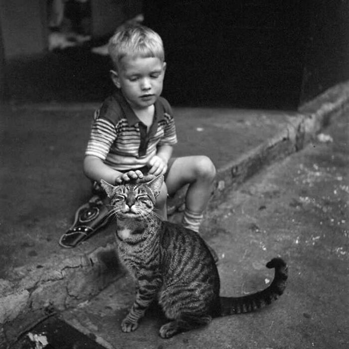 Vintage black and white photo of a young boy petting a tabby cat, showcasing the timeless bond between kids and cats.