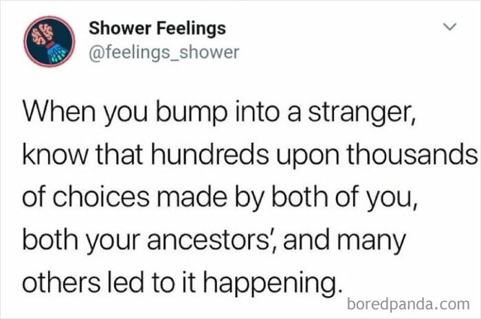 Text post from Shower Feelings account reflecting on how countless choices by you and your ancestors led to meeting a stranger, shower thoughts.