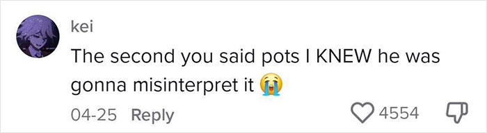 Social media comment referencing a misunderstanding about POTS related to disability and harassment while using a car.