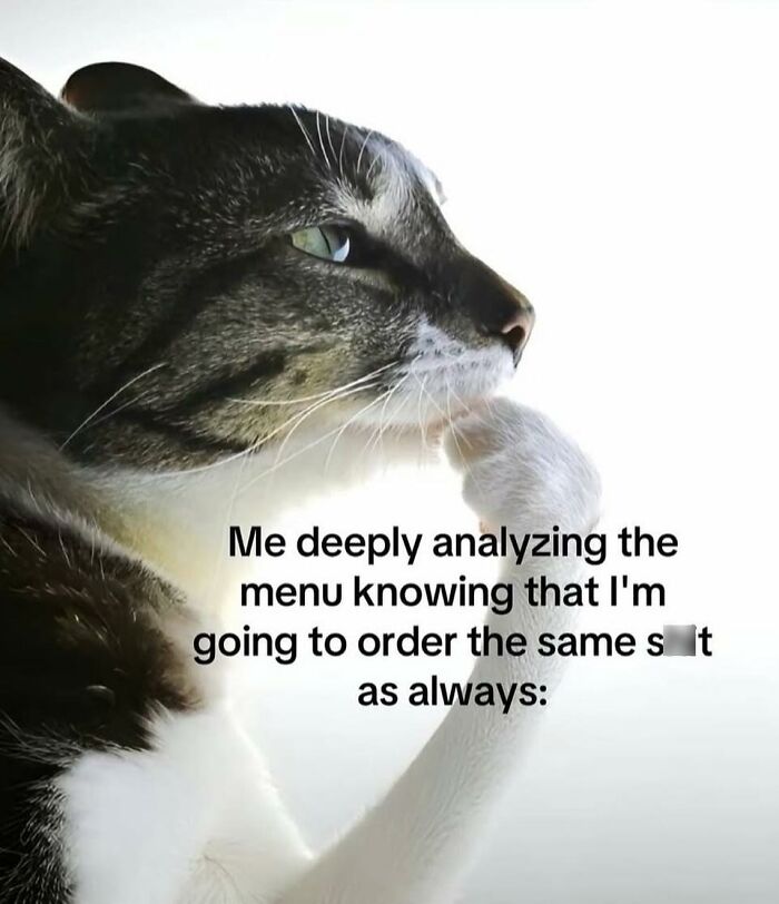 Cat deep in thought with funny text, perfect for scrolling through funny pics during mental breakdowns.