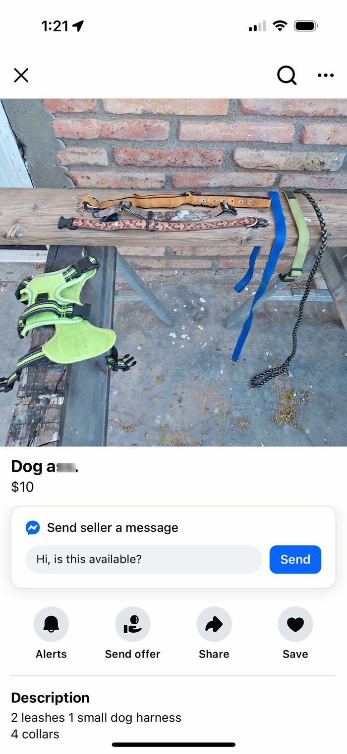 Various dog collars, leashes, and a small harness laid out for sale on Facebook Marketplace listing.