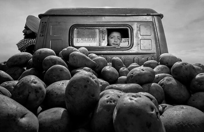 Black and white street photo of a boy looking out a truck window filled with large potatoes, capturing urban life.