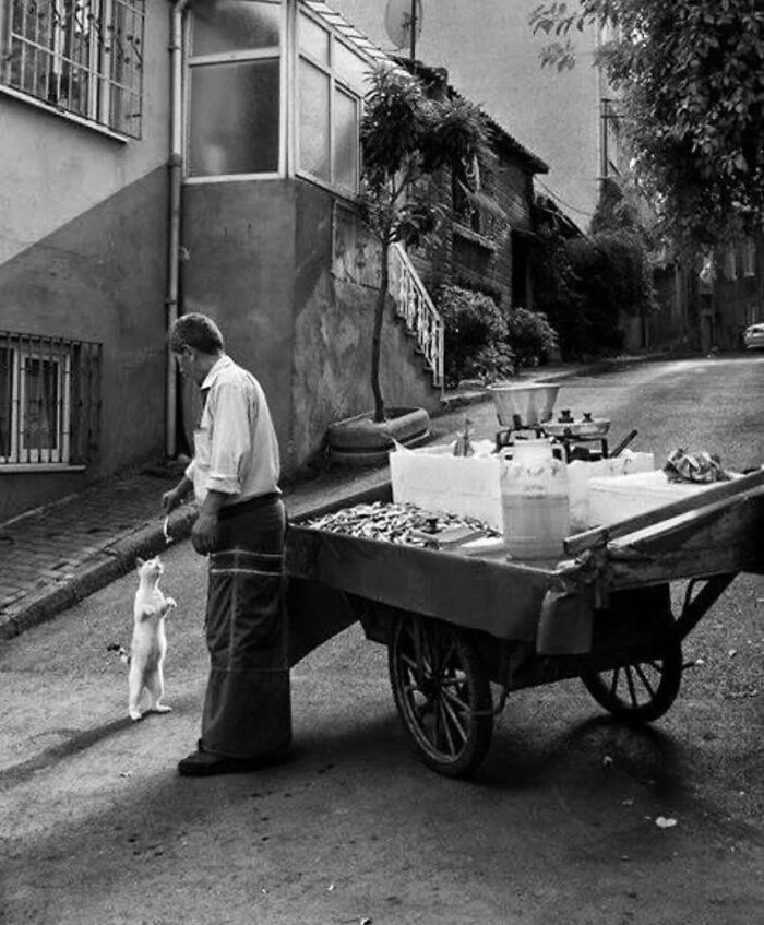 Black and white street photo of a man feeding a cat beside a cart in an urban neighborhood, captured on an Instagram page.
