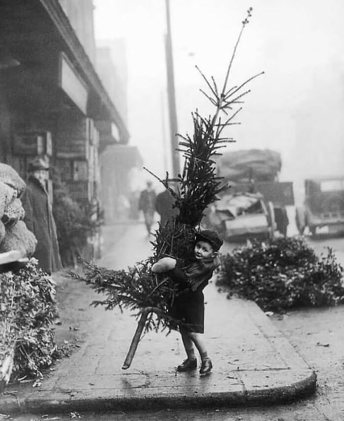 Black and white street photo of a child carrying a large tree, shared by popular Instagram street photography page.
