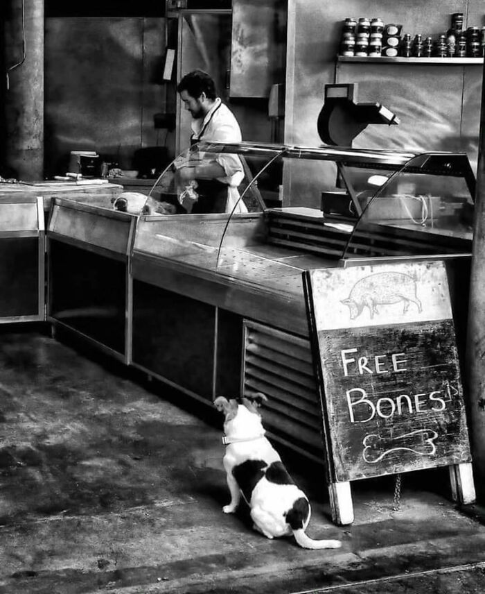 Black and white street photo of a dog waiting by a butcher counter with a sign offering free bones.