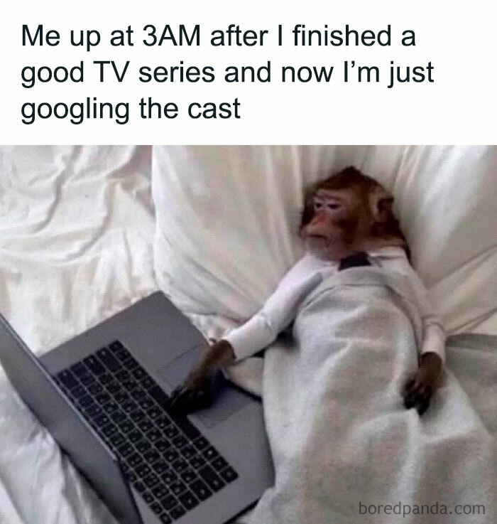 Monkey lying in bed using a laptop late at night, a hilarious meme from a Facebook page about funny memes.