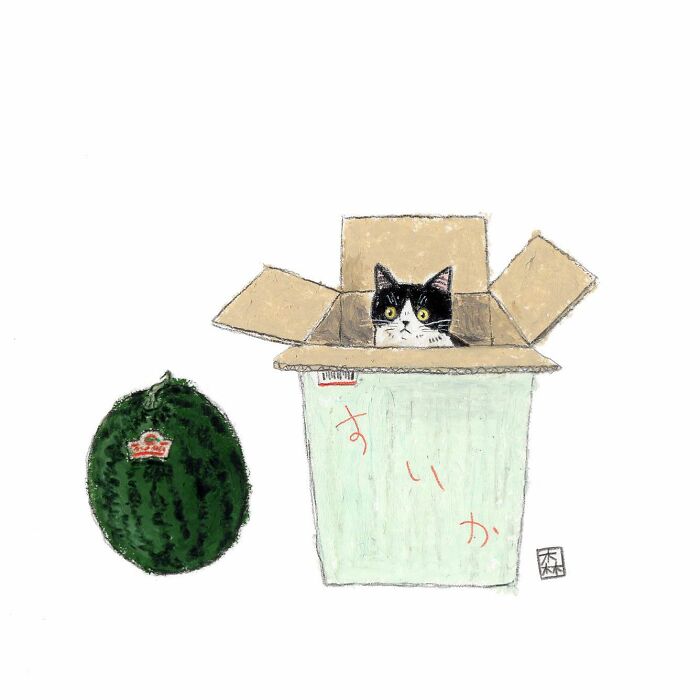 Adorable artwork of a black and white cat peeking from a cardboard box next to a watermelon, drawn by Korean artist.