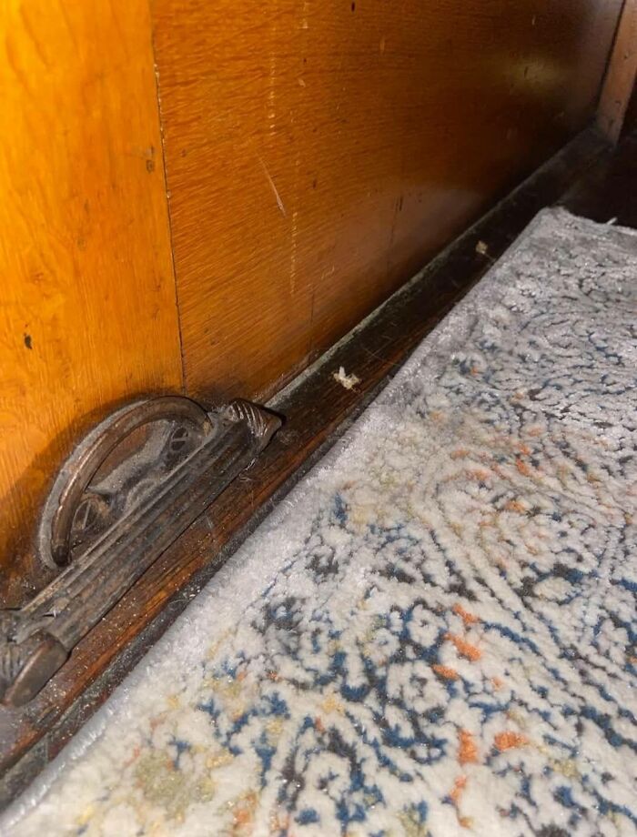 Old dust-covered floor vent detail on wooden wall and patterned carpet in a home with hidden, forgotten, or haunted pasts.