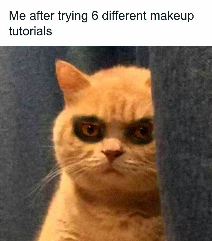 Grumpy cat with dark makeup around eyes peeking from behind curtain in a funny and silly animal meme.