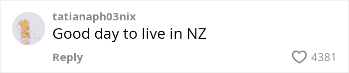 Screenshot of a social media comment saying good day to live in NZ about birth costs in the US.