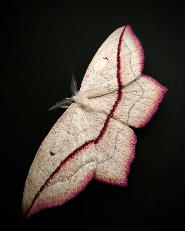 Embroidered fiber moth with delicate pink and red details on a black background showcasing textile art.