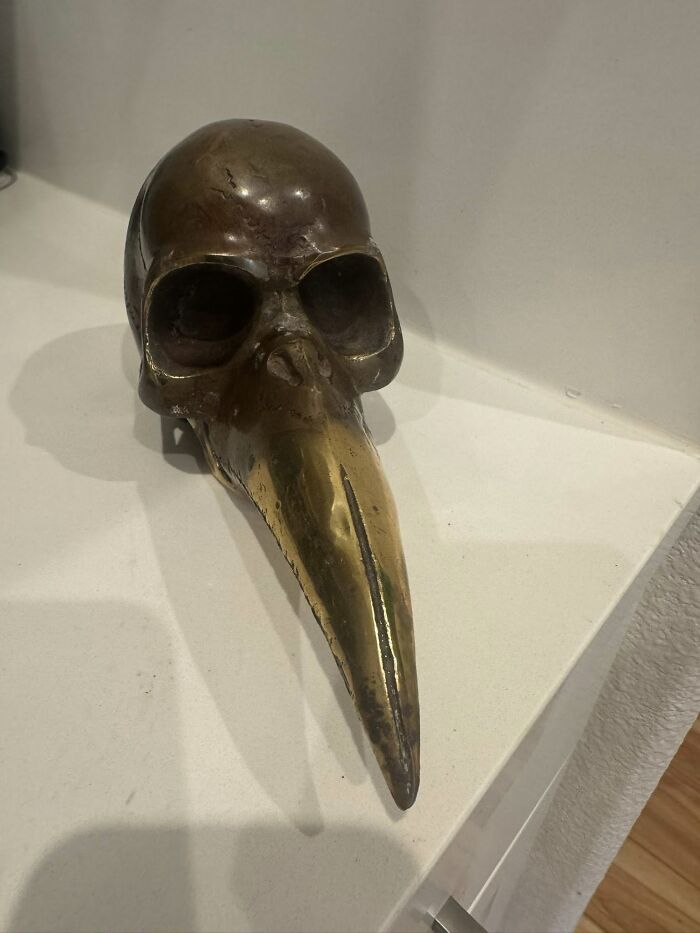 Bronze bird skull sculpture with elongated beak, a weird and wonderful thrifted find for a unique museum display.