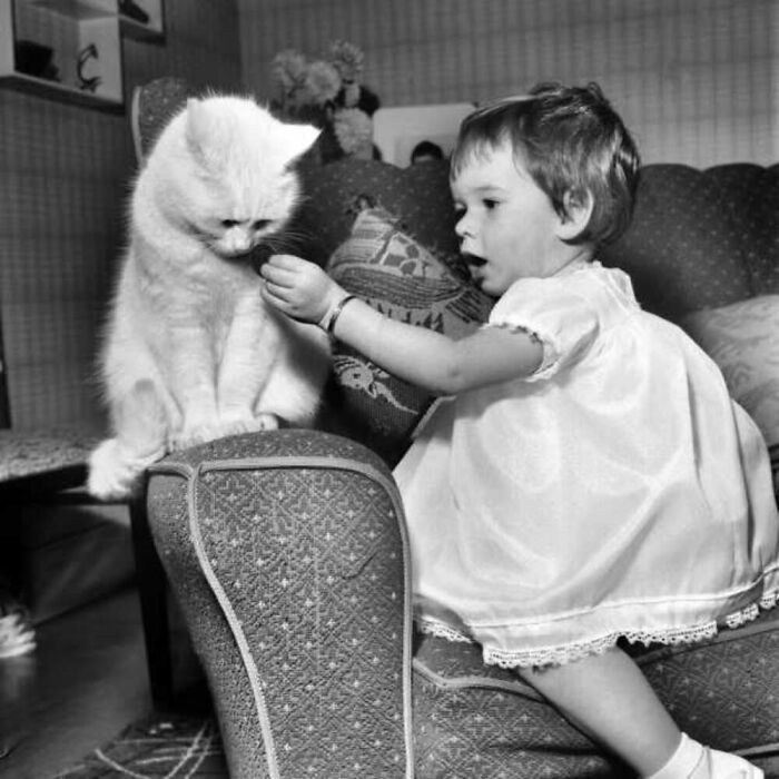 Vintage photo showing the timeless bond between a young child and a white cat sharing a gentle moment indoors.