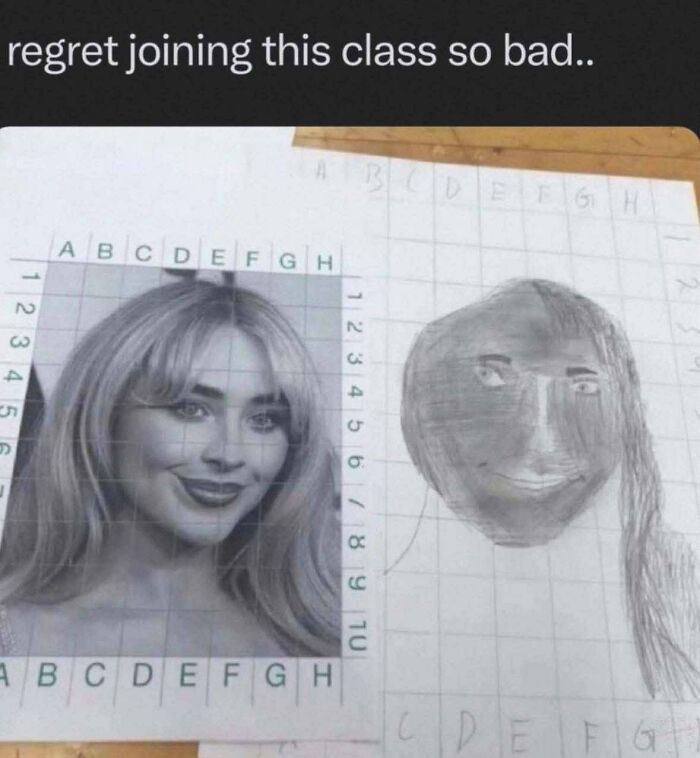 A chaotic meme showing a poor grid drawing attempt of a woman's photo, highlighting funny chaotic memes humor.