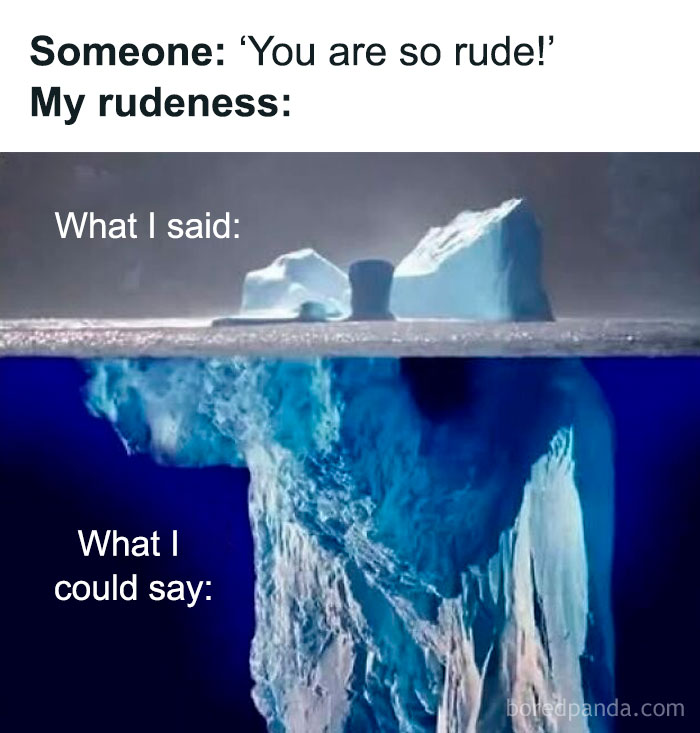 Iceberg meme illustrating rudeness, showing what is said versus what could be said, from hilariously sarcastic memes.