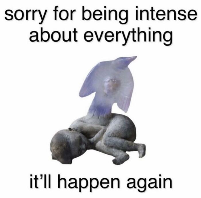 Cute and wholesome meme featuring a surreal creature apologizing for being intense about everything in a playful way