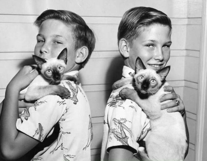 Vintage black and white photo of two boys each holding a Siamese cat, showcasing the timeless bond between kids and cats.