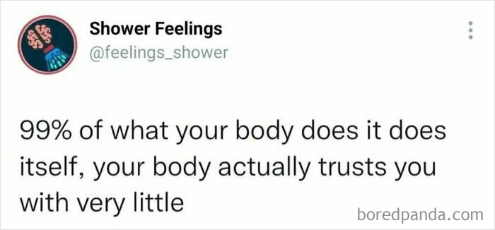 Tweet from Shower Feelings about how 99% of your body functions on its own, relating to thoughts to occupy your brain while showering.