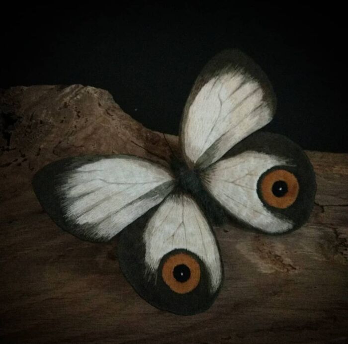 Embroidered fiber moth with white and black wings featuring orange eye spots, resting on a wooden surface.