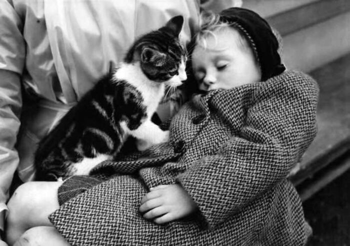 Vintage photo of a sleeping child cuddled in a coat with a cat nearby, highlighting the timeless bond between kids and cats.
