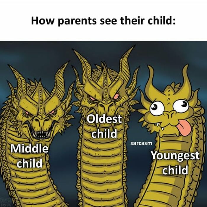 Three-headed dragon meme showing how parents see their middle, oldest, and youngest child with hilarious meme style.