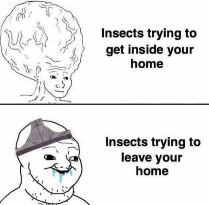 Sarcasm meme showing insects trying to get inside versus leave a home with humorous facial expressions.
