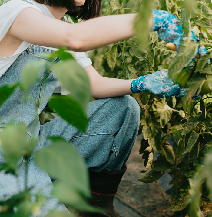 40 Times Someone Said ‘I Was Raised Poor’ Without Saying It Out Loud