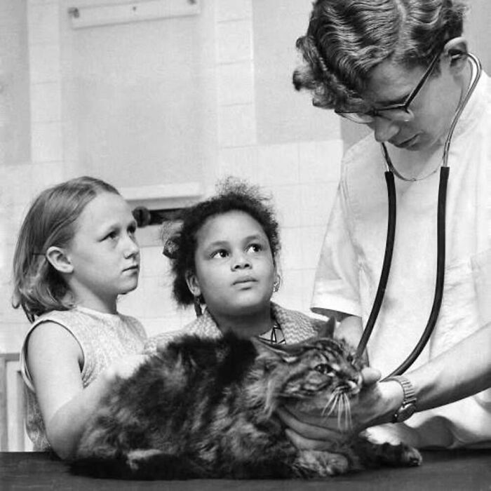 Vintage black and white photo of kids bonding with a cat while a vet listens to the cat's heartbeat with a stethoscope.