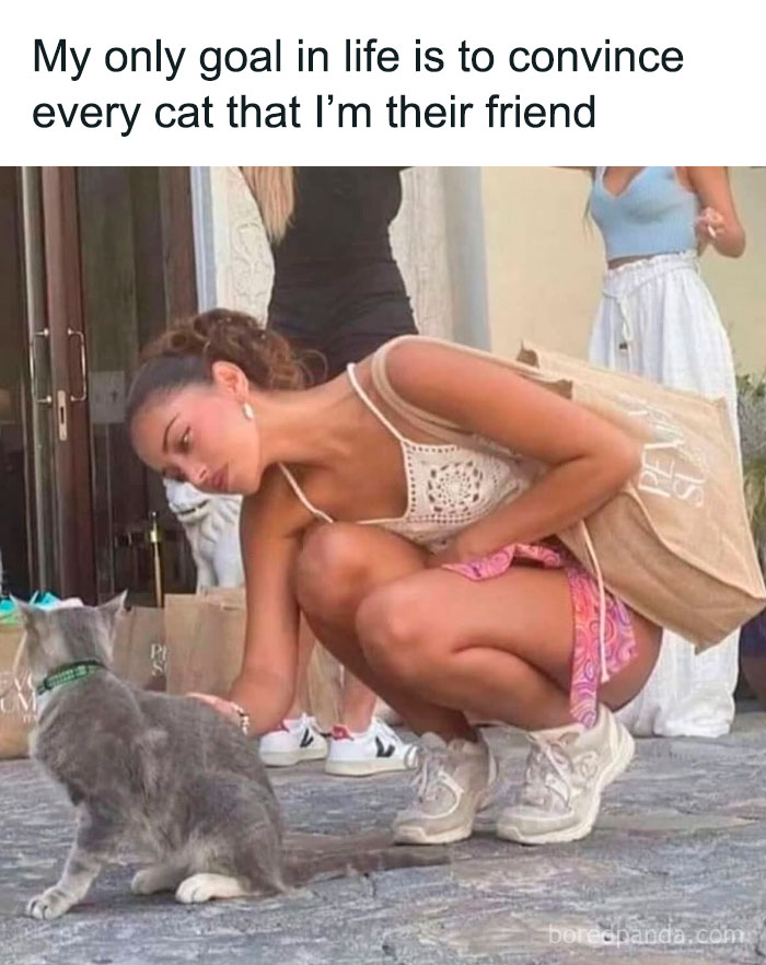 Woman crouching to pet a gray cat outdoors, relatable meme with a bit of sarcasm and humor about friendship goals.