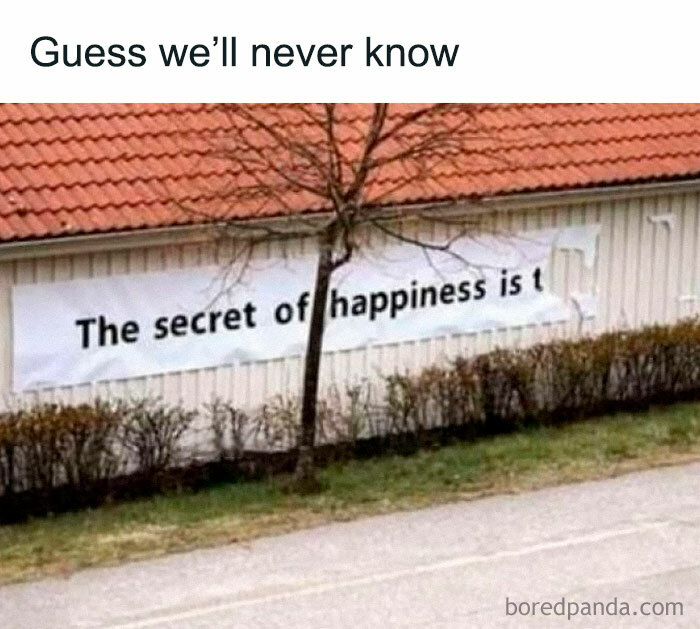 A funny meme showing a torn banner behind a tree that hides the secret of happiness phrase.