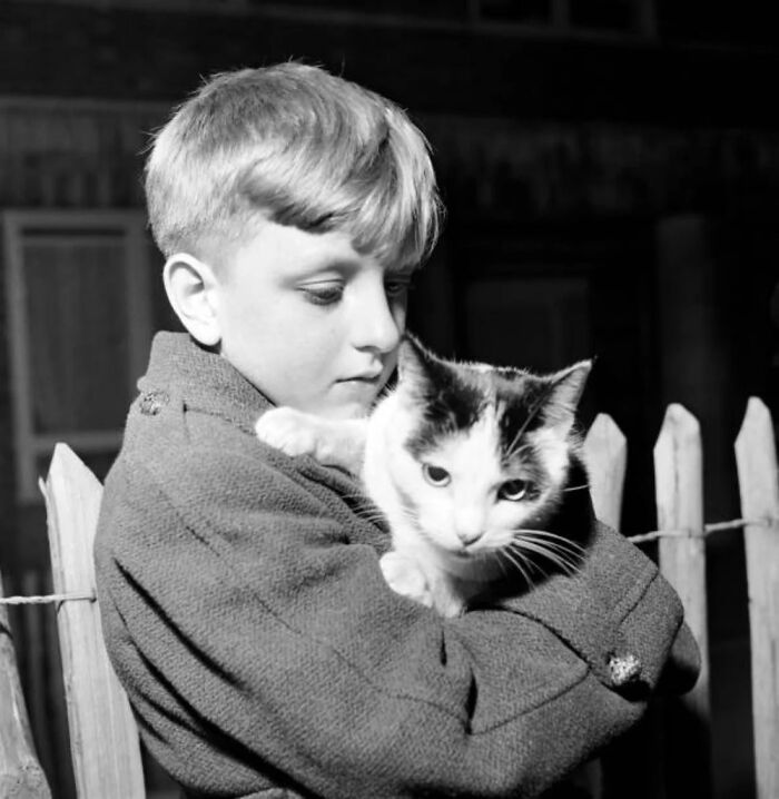 Vintage photo of a young boy gently holding a cat, showcasing the timeless bond between kids and cats.