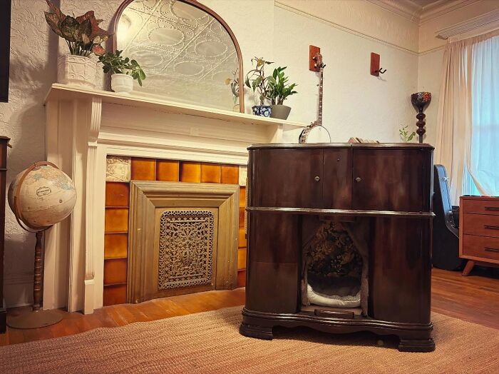 Vintage TV turned into a cozy cat bed in a warm living room with antique fireplace and indoor plants.