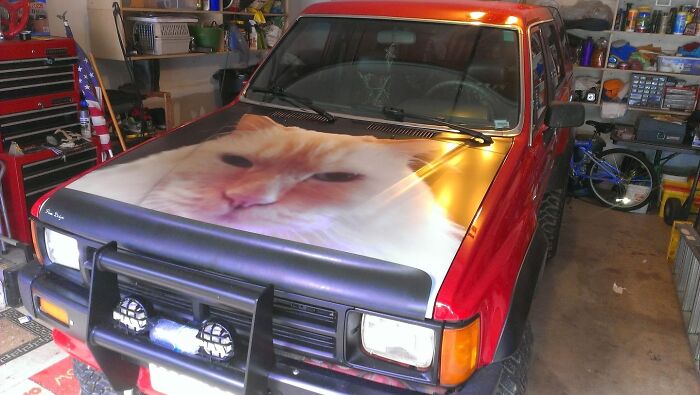 Coche rojo en taller con capó pintado de gato blanco, imagen maldita y curiosa en ambiente de garaje.