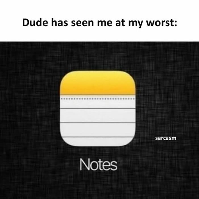 Funny meme showing iPhone Notes app icon with caption about seeing someone at their worst, from hilarious memes.