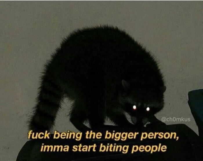 Raccoon with glowing eyes in dark setting, humorous caption about frustration, fitting funny pics for mental breakdown scroll.