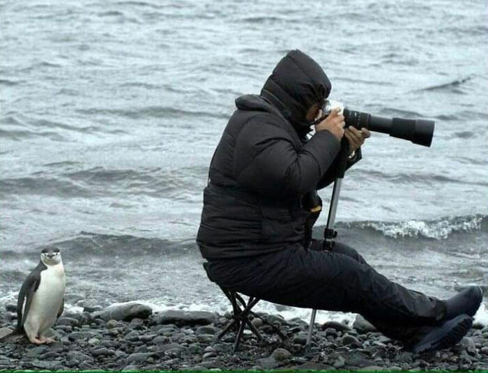 Photographer in winter gear sitting by a rocky shore capturing animal pics with a penguin nearby on a cold day.