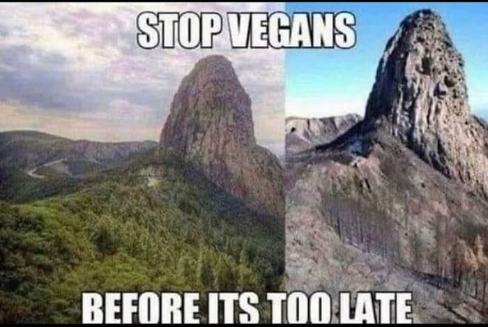 Mountain landscape showing lush greenery on one side and barren rock on the other, with vegan memes theme about environmental impact.