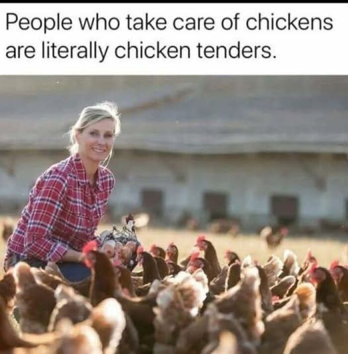 Woman caring for chickens outdoors with caption about people who take care of chickens being chicken tenders, vegan memes theme.