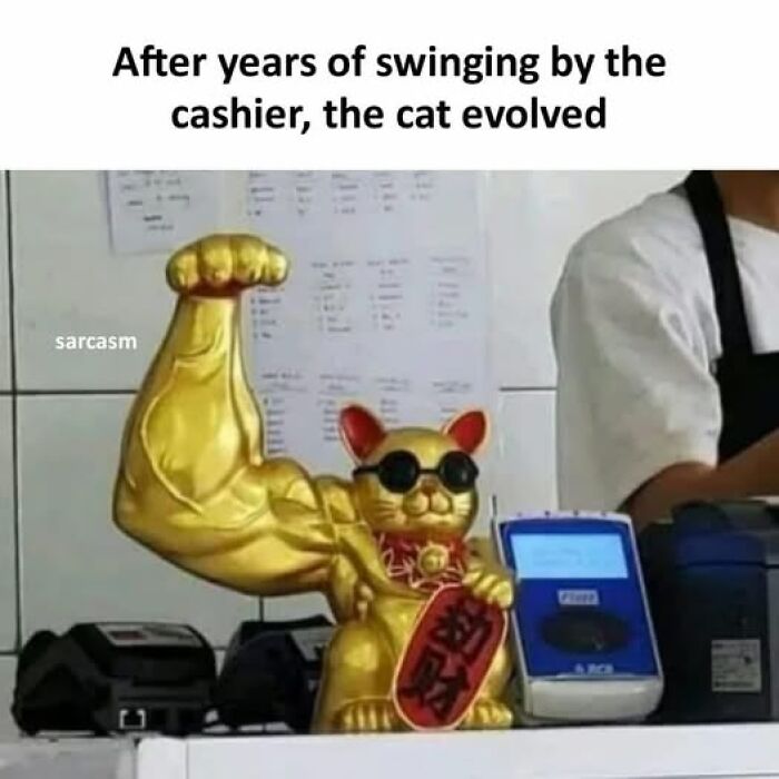 Golden muscular cat figurine wearing sunglasses at a cashier counter, featured in sarcastic memes shared on Facebook.