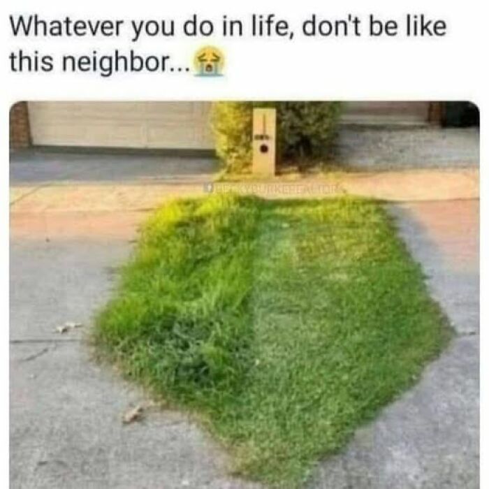 Hilariously sarcastic meme showing unevenly mowed grass with caption advising not to be like this neighbor.