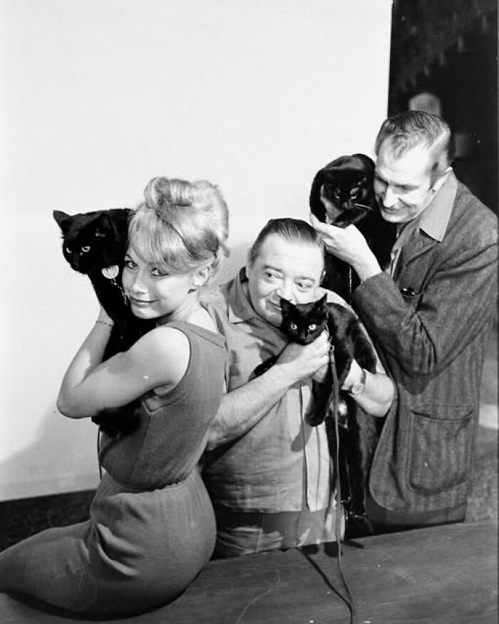 Three people in an antique historical photograph holding black cats indoors, showcasing a unique moment from the past.