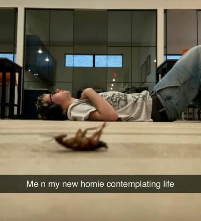 Person lying on the floor with headphones next to a dead bug, a sarcastic meme about contemplating life for FB memes.