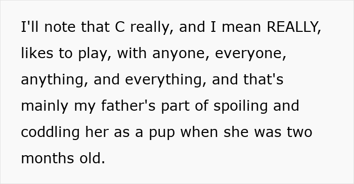 Text about a dog who loves to play, highlighting the owner spoiling her since she was two months old.